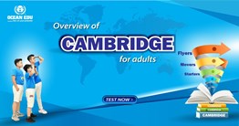 OVERVIEW OF CAMBRIDGE PROGRAM FOR ADULTS